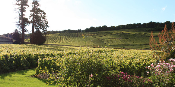 クロード・カザル　カルト・オール ブラン・ド・ブラン　グラン・クリュN.V.