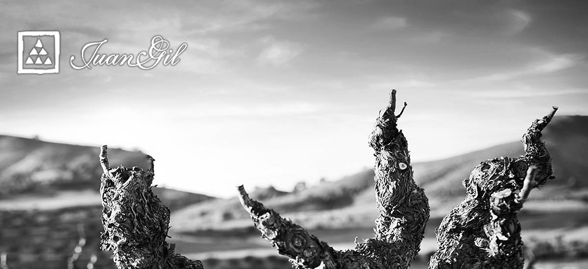 フアン・ヒル・イメージ画像