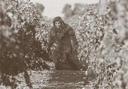 マイケル・デイヴィッド・ワイナリーのヒーロー